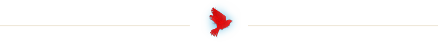 Bird Divider